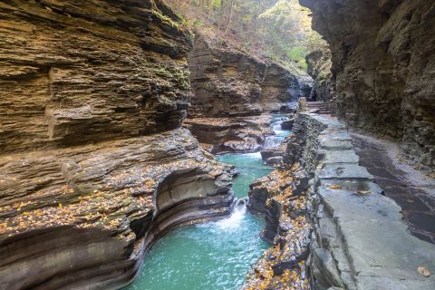 A beautiful photo of the lush and varied landscape of Watkins Glen State Park