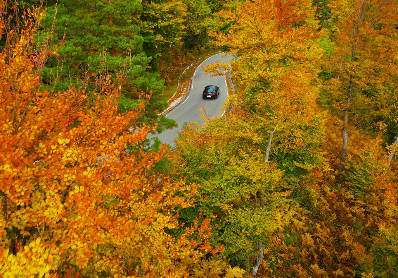 A lone car driving through curved roads amid vibrant fall foliage