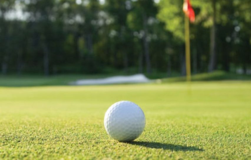 A close up on a golf ball sitting on a green a few yards from the tee